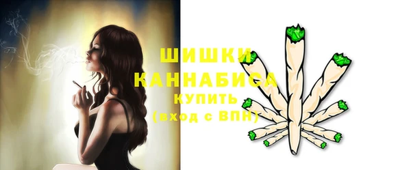 крисы Осинники